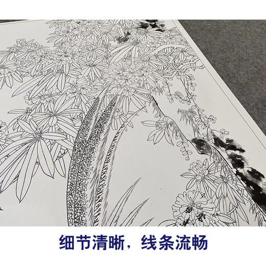 【大彩图】王庆升工笔画白描底稿《鸣春图》锦鸡临摹勾线花鸟线稿HN01 商品图4