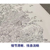 【大彩图】刘菊清工笔画白描底稿《牡丹》临摹勾线花鸟线稿HN20 商品缩略图4