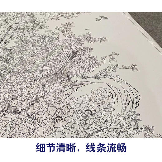 【大彩图】刘菊清工笔画白描底稿《牡丹》临摹勾线花鸟线稿HN20 商品图4