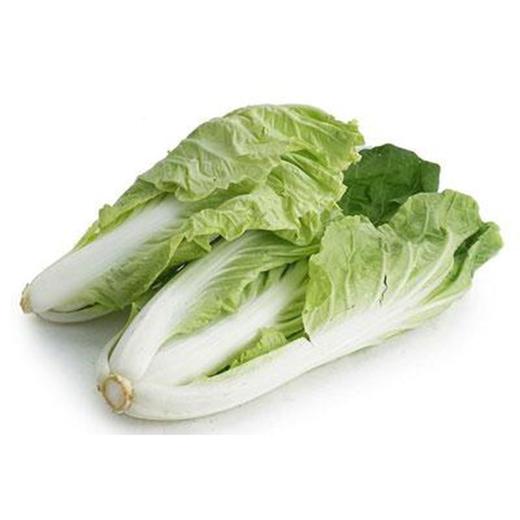 快菜400g-450g/份 商品图0