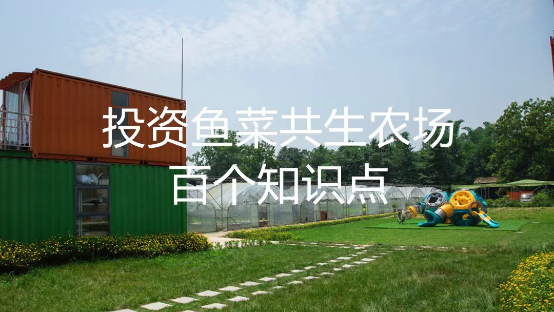 投资鱼菜共生的百问百答