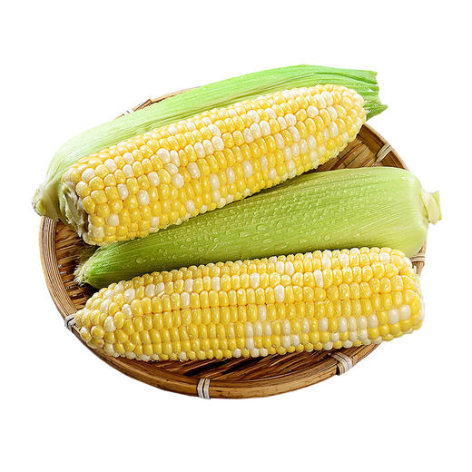 【云南水果玉米】金银玉米 嫩脆多汁 清甜爽口  新鲜现摘  双色甜玉米 3斤/4.5斤装 商品图5