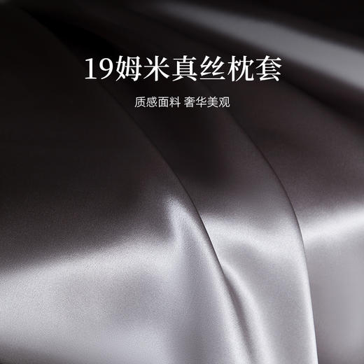 真丝乳胶枕套装 商品图3