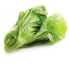 盖菜500g-550g/份 商品缩略图0