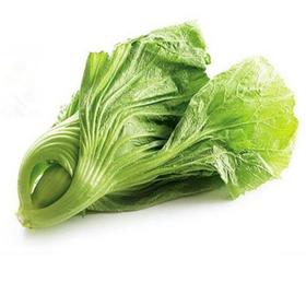 盖菜500g-550g/份