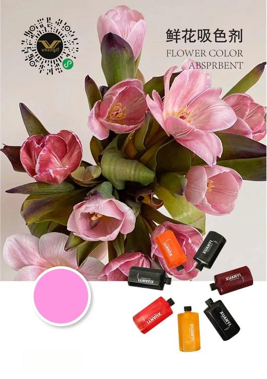 鲜花吸色剂染色剂 商品图4