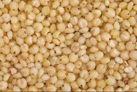 睿立散装高粱米1000g/袋