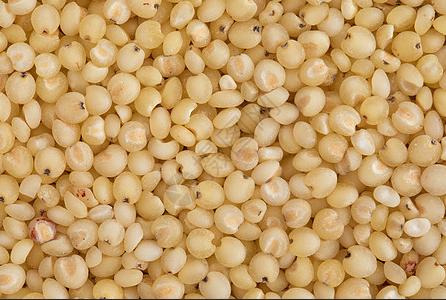 睿立散装高粱米1000g/袋 商品图0