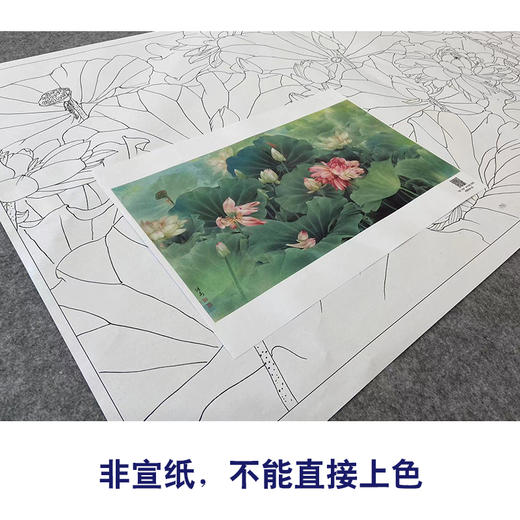 【大彩图】邹传安横幅工笔画白描底稿《荷花》临摹勾线花鸟线稿HN18 商品图2