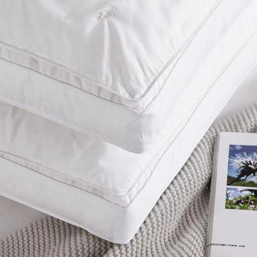 蚕丝复合枕*单个装 商品图3