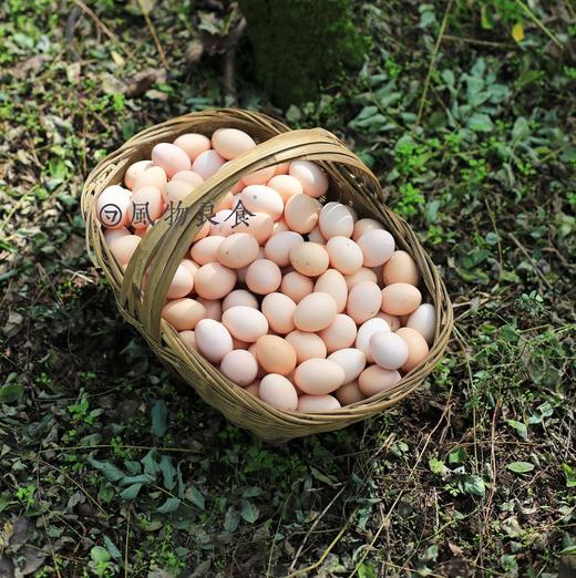 【满150元全疆包邮】有机鸡蛋（24颗装） 商品图0