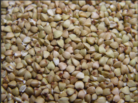 睿立散装荞麦米1000g/袋