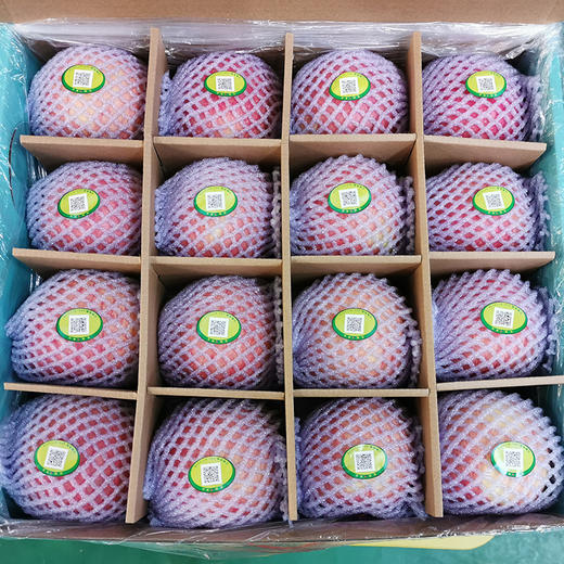 【白领专享】16枚90mm特大果陕西顶端果业洛川红富士苹果新鲜水果 商品图1