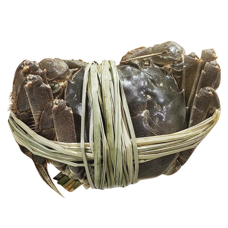 【长荡湖 大闸蟹】2.5~4两母蟹 螃蟹