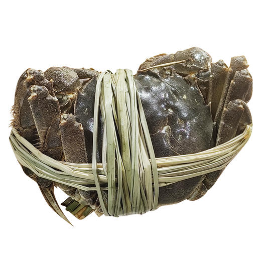 【长荡湖 大闸蟹】2.5~4两母蟹 螃蟹 商品图0