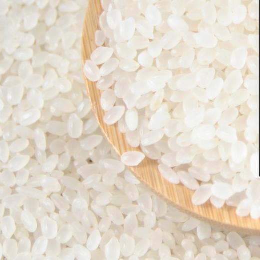 睿立散装东北大米1000g/袋 商品图0