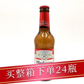 百威小瓶啤酒330ml/瓶