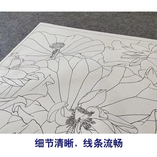 【大彩图】邹传安横幅工笔画白描底稿《荷花》临摹勾线花鸟线稿HN18 商品图4