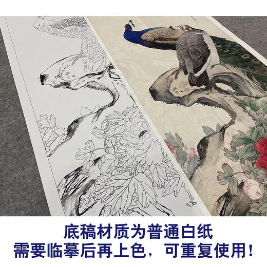 【大彩图】刘奎龄工笔画白描底稿《孔雀牡丹图》临摹勾线花鸟线稿HN17 商品图3