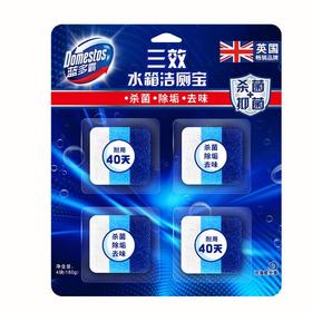 蓝多霸三效水箱洁厕宝沧海星光香180g/块