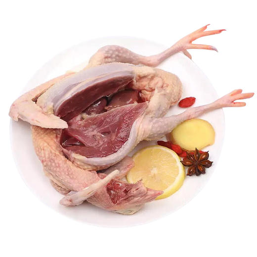 【社区团购】新桥高鹏 乳鸽 1只36 3只102（只有每周五发货） 商品图0