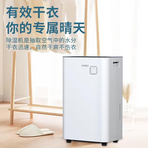 海尔（Haier） 除湿机/抽湿机 除湿量30升/天 家用轻音防霉 抽湿器 吸湿器 地下室档案室干燥机干衣机 DE30J 40-70㎡适用 商品图0