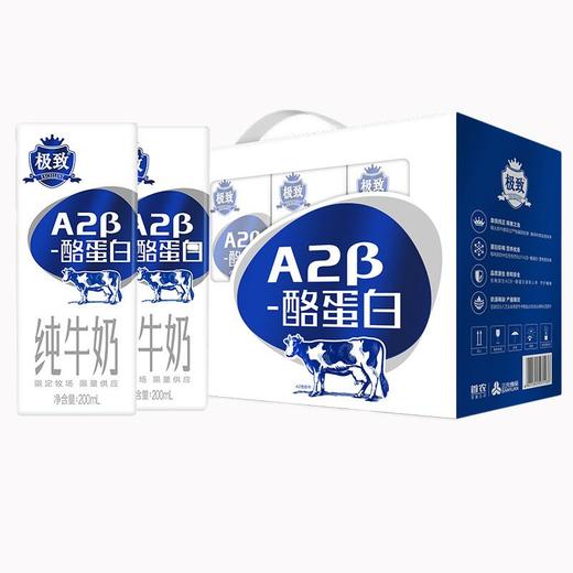 三元极致A2纯牛奶200ml*10/提 商品图0