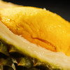 A Picture of Durian Grey 榴莲飘飘（工作时间内付款4~6小时后开始配送，请大家提前下单） 商品缩略图3