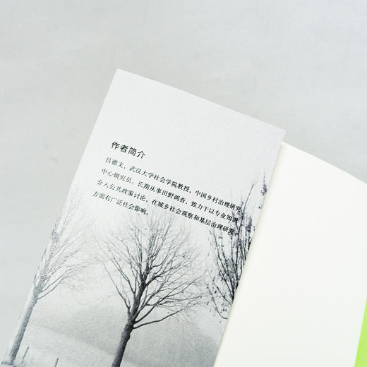 【连岳】做接地气的调查研究 商品图4