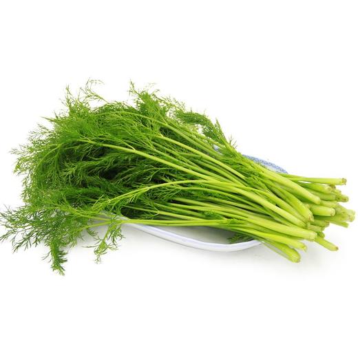 茴香300g-350g/份 商品图0