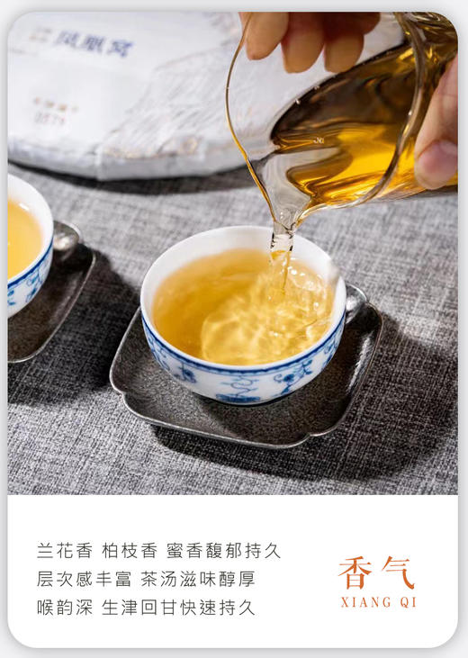 生普 | 2023年德丰昌 凤凰窝古树100g/饼 小饼 商品图3