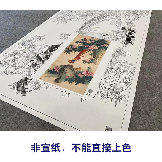 【大彩图】王庆升工笔画白描底稿《鸣春图》锦鸡临摹勾线花鸟线稿HN01 商品图2
