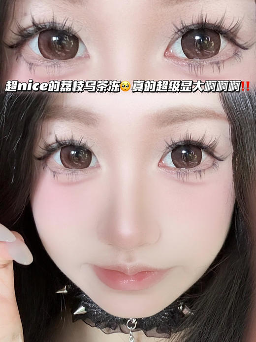 Litchi 荔枝乌茶冻 「含硅水凝胶」年抛型 商品图0