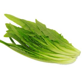 油麦菜350g-400g/份