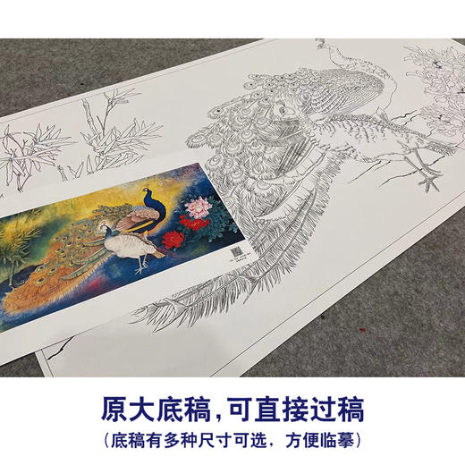 【大彩图】横幅工笔画白描底稿《孔雀》临摹勾线花鸟线稿HN19 商品图1