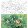 【大彩图】邹传安横幅工笔画白描底稿《荷花》临摹勾线花鸟线稿HN18 商品缩略图0
