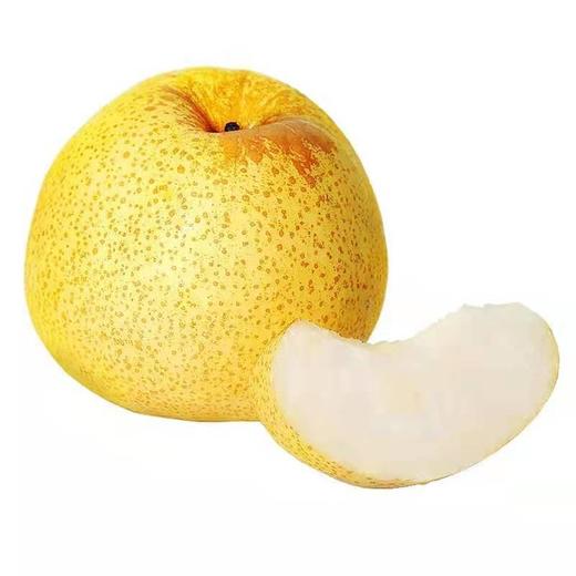 砀山梨1200g/份 商品图0