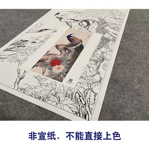 【大彩图】刘奎龄工笔画白描底稿《孔雀牡丹图》临摹勾线花鸟线稿HN17 商品图2