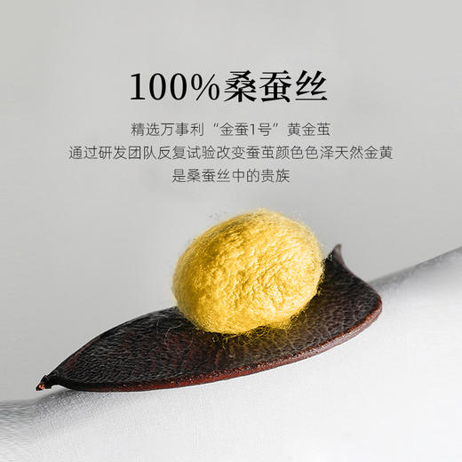 万事利“金蚕1号”黄金枕套装（枕头+枕套） 商品图1