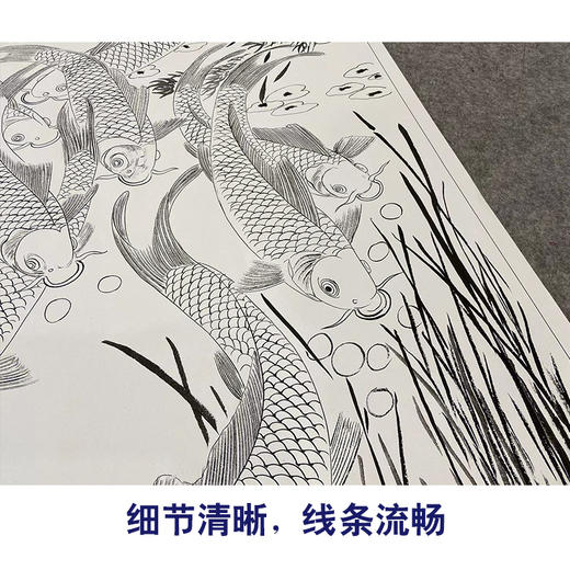【大彩图】吴青霞工笔画白描底稿《九鲤图轴》鲤鱼荷花临摹勾线花鸟线稿A625 商品图4