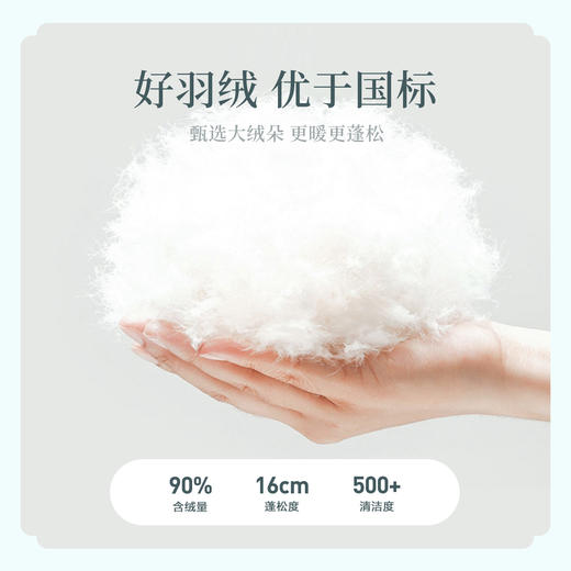 笛莎DESHA童装女童羽绒服2023冬季博主同款新款时尚长款国风羽绒服 商品图4