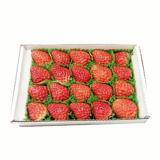 巧克力草莓约275g/份 商品图0