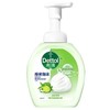 滴露泡沫抑菌洗手液青柠香型250ml/瓶 商品缩略图0