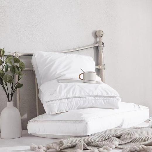 蚕丝复合枕*单个装 商品图1