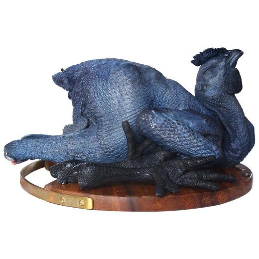 冰鲜乌鸡约950g-1000g/只 商品图0