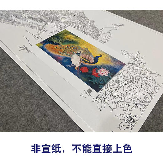 【大彩图】横幅工笔画白描底稿《孔雀》临摹勾线花鸟线稿HN19 商品图2