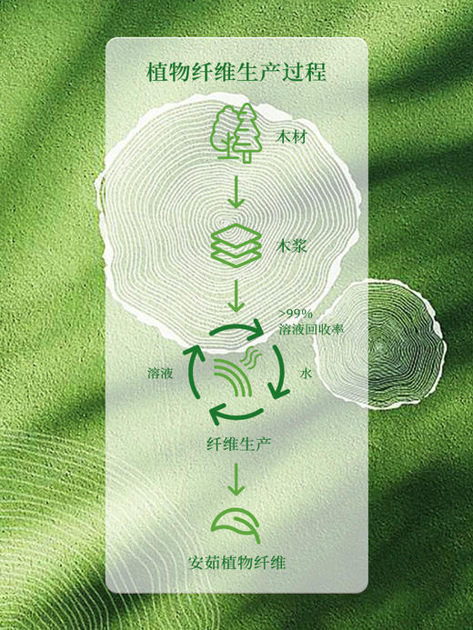 【粉丝福利，每月限购1盒】安茹绿森林水氧全新植物纤维膜布、全植物免洗面膜！ 商品图5