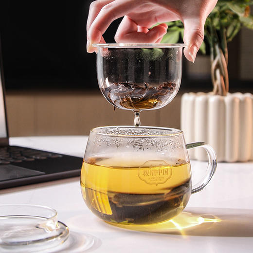 正山堂骏眉中国 茶水分离高硼硅玻璃杯 茶具 商品图2