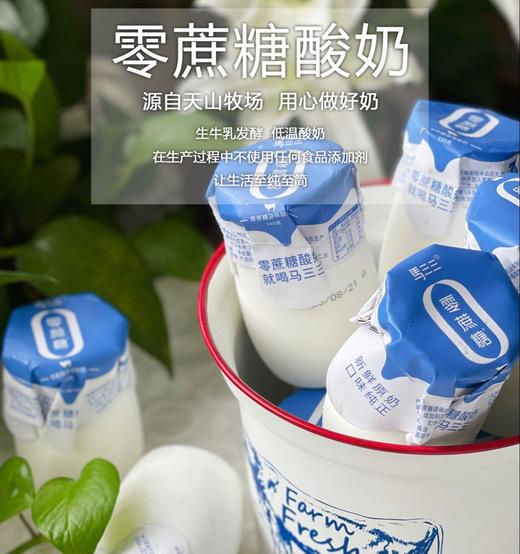 马三三小白罐原味酸奶180g*12杯 商品图4