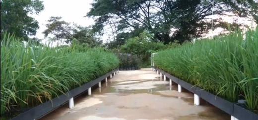 55.鱼菜共生农场用地如何符合土地政策要求？ 商品图0